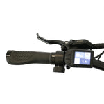 eunorau-e-torque-step-thru-city-commuter-e-bike-lcd-display