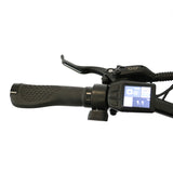 eunorau-e-torque-step-thru-city-commuter-e-bike-lcd-display